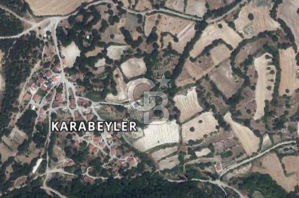 Balıkesir Altıeylül Karabeyler Köyü’nde Satılık Bahçe