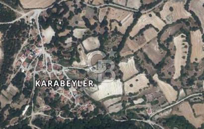 Balıkesir Altıeylül Karabeyler Köyü’nde Satılık Bahçe