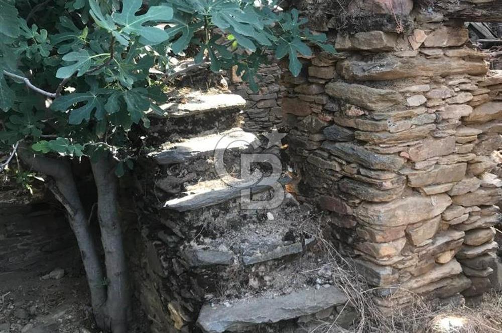 İzmir / Bayındır Köy İçinde Satılık İmarlı Arsa