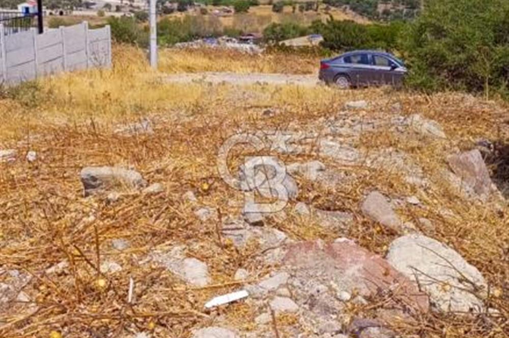 Çandarlı merkezde satılık arsa