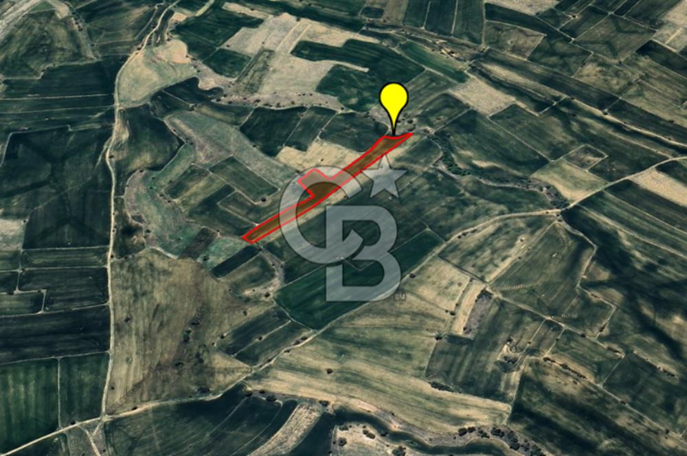AFYON DAZKIRI YUKARIYENİCE FIRSAT KAZANÇLI TARLA