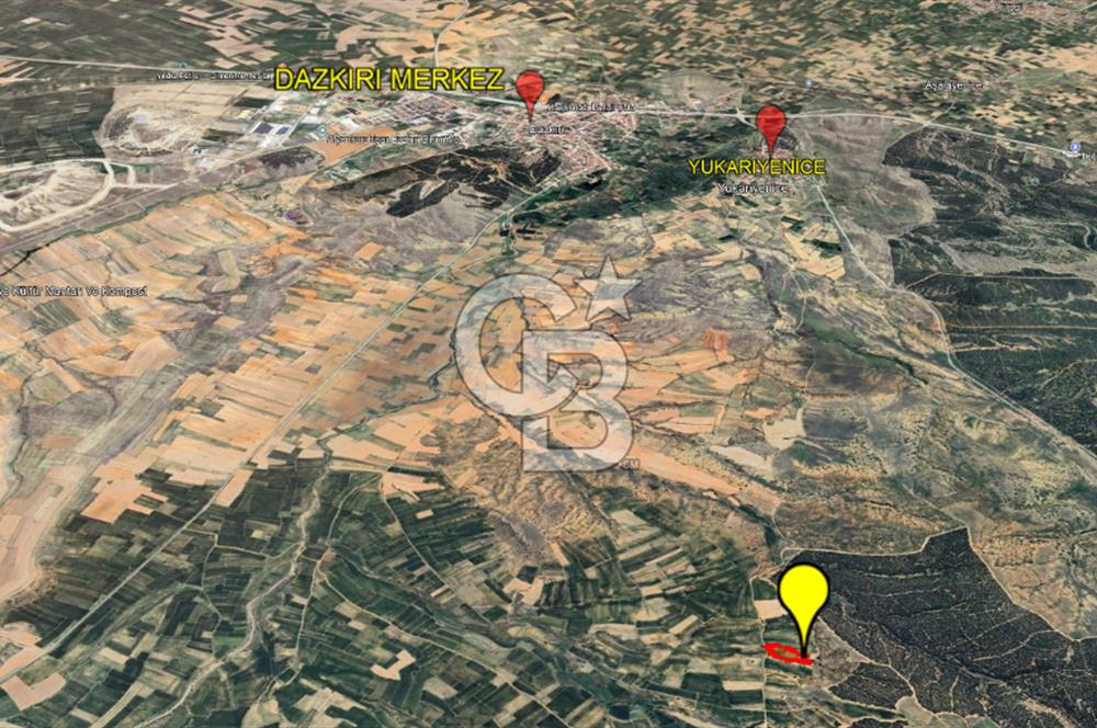 AFYON DAZKIRI YUKARIYENİCE FIRSAT TARLA