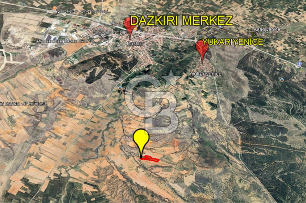 AFYON DAZKIRI YUKARIYENİCE YATIRIMLIK KAZANÇLI TARLA