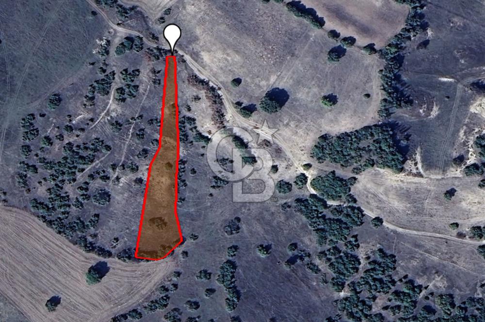 KÜTAHYA DOMANİÇ YATIRIMLIK FIRSAT TARLA