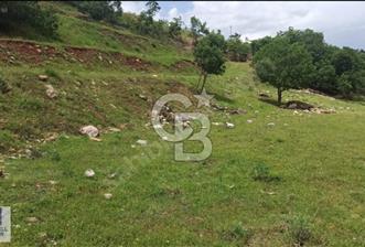 MNÜTHİŞ KONIM ARSA