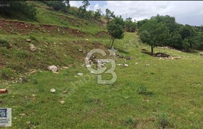 MNÜTHİŞ KONIM ARSA