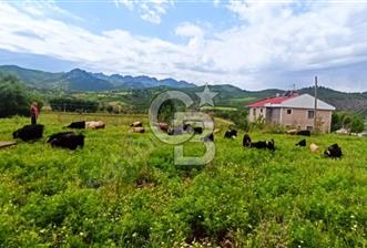 TUNCELİ DE VİLLA ARSASI FIRSATI