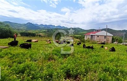 TUNCELİ DE VİLLA ARSASI FIRSATI