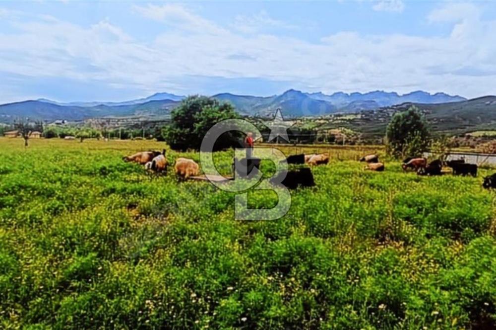 MNÜTHİŞ KONIM ARSA