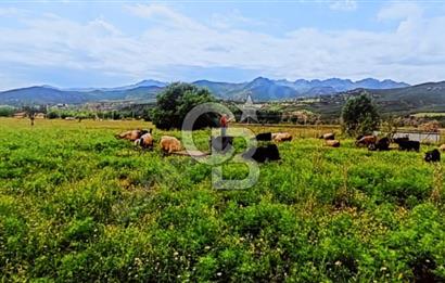 MNÜTHİŞ KONIM ARSA