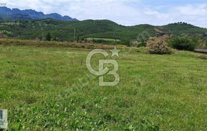 MNÜTHİŞ KONIM ARSA
