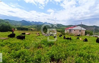 TUNCELİ DE YATIRIMLIK ARSA