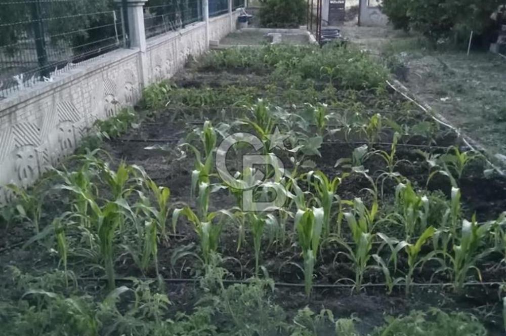 İzmir Mendereste 4 Dönümde Havuzlu Villa;Doğa ve Denizle İç İçe