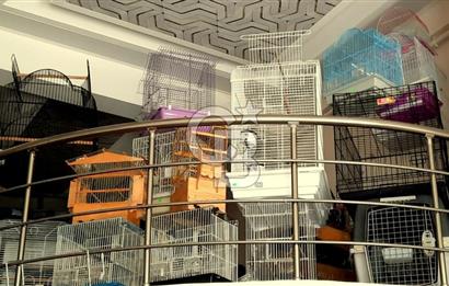 İSTANBUL KADIKÖY ACIBADEM CADDESİ'NDE (İÇ ALAN 275 M2) - DEVİR - PETSHOP MAĞAZASI 