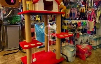 İSTANBUL KADIKÖY ACIBADEM CADDESİ'NDE (İÇ ALAN 275 M2) - DEVİR - PETSHOP MAĞAZASI 