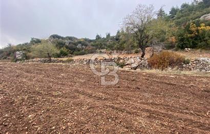 Muğla Günlüce se satılık tarla