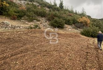 Muğla Günlüce se satılık tarla