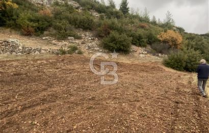Muğla Günlüce se satılık tarla
