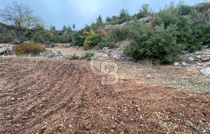 Muğla Günlüce se satılık tarla