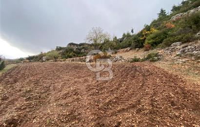 Muğla Günlüce se satılık tarla