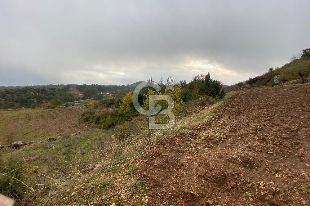 Muğla Günlüce se satılık tarla