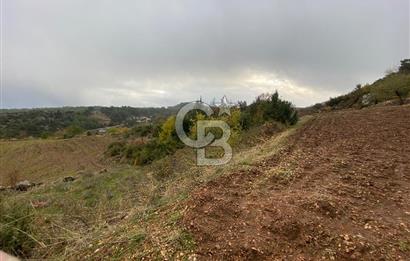 Muğla Günlüce se satılık tarla