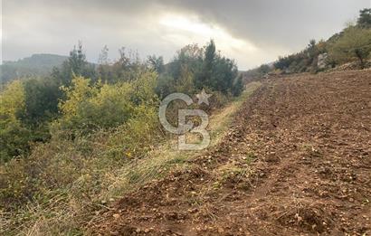 Muğla Günlüce se satılık tarla