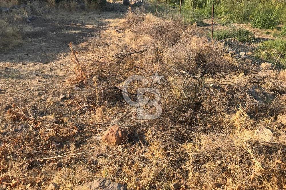 Aliağa Karakuzu köyünde tek tapu satılık tarla