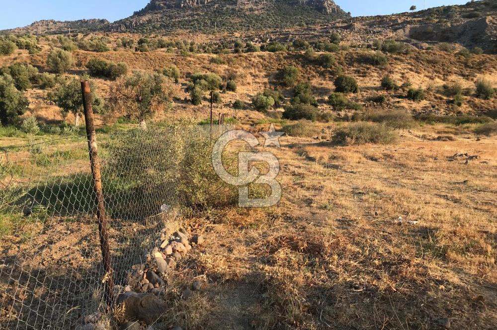 Aliağa Karakuzu köyünde tek tapu satılık tarla
