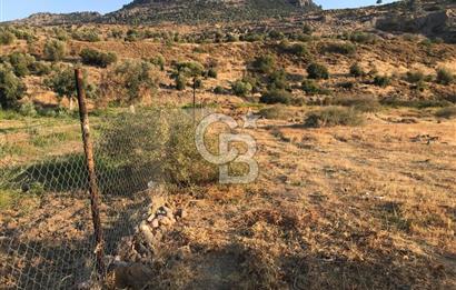 Aliağa Karakuzu köyünde tek tapu satılık tarla