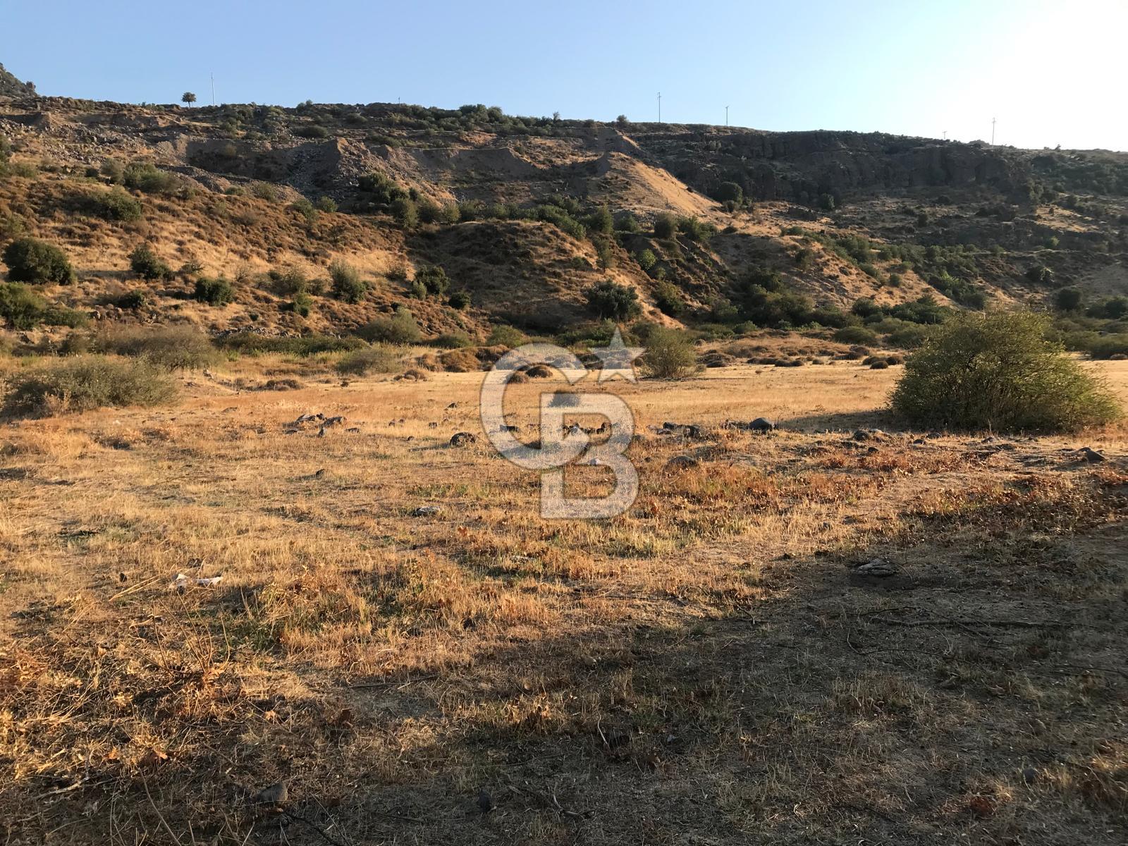 CB Odak'tan Aliağa Karakuzu'da tek tapu satılık tarla