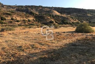 Aliağa Karakuzu köyünde tek tapu satılık tarla