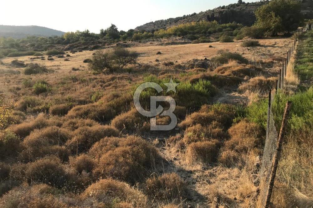 Aliağa Karakuzu köyünde tek tapu satılık tarla