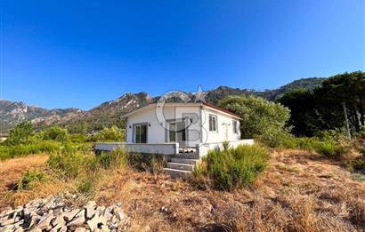 CB MARİNA'DAN ORHANİYE'DE SATILIK 1838 M2 ARAZİ VE MÜSTAKİL EV