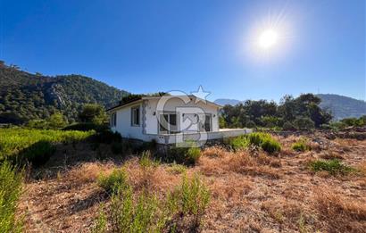 CB MARİNA'DAN ORHANİYE'DE SATILIK 1838 M2 ARAZİ VE MÜSTAKİL EV
