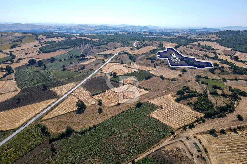 CB EAGLE'DAN YENİKÖY'DE 16.599 m² SATILIK TARLA