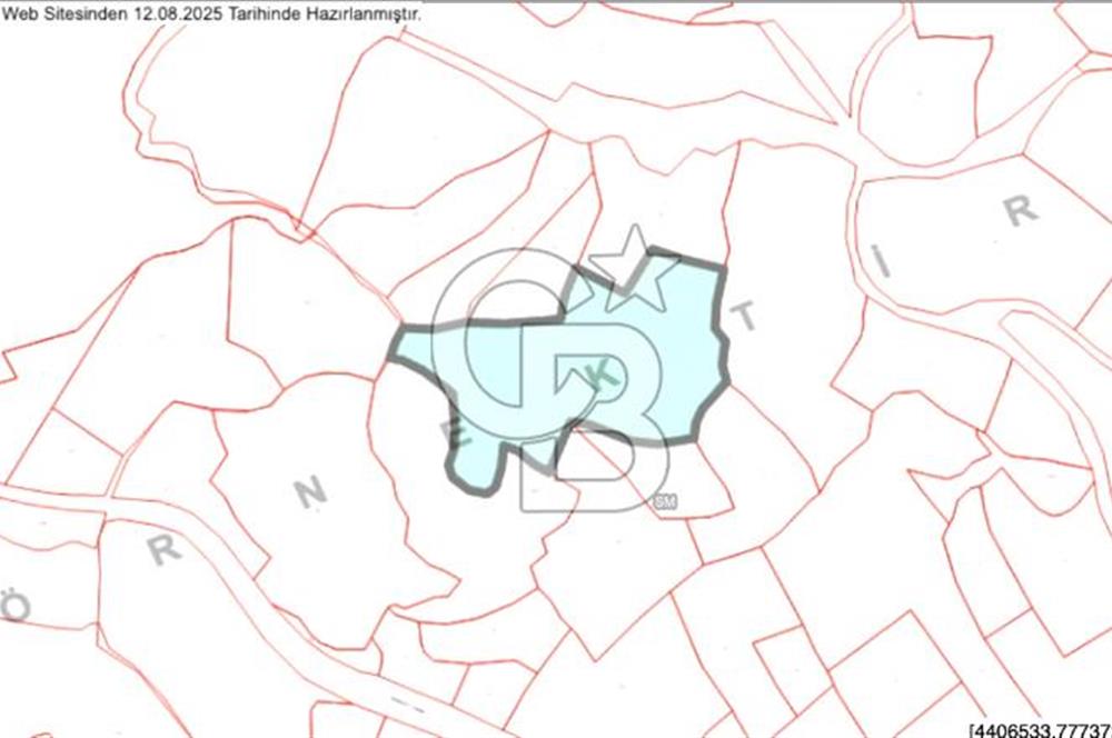 CB EAGLE'DAN YENİKÖY'DE 16.599 m² SATILIK TARLA