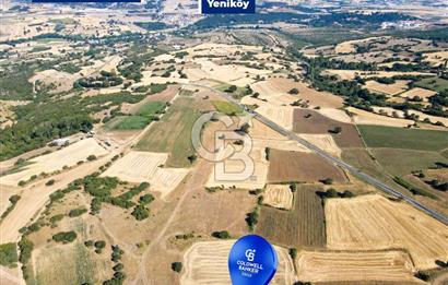 CB EAGLE'DAN YENİKÖY'DE 16.599 m² SATILIK TARLA