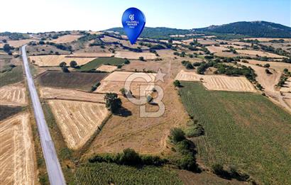 CB EAGLE'DAN YENİKÖY'DE 16.599 m² SATILIK TARLA