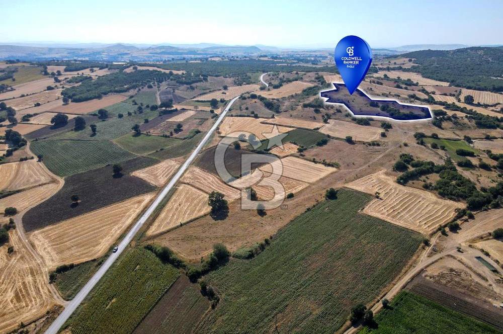 CB EAGLE'DAN YENİKÖY'DE 16.599 m² SATILIK TARLA