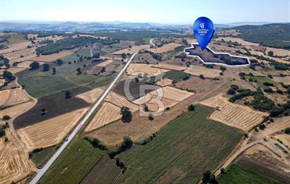CB EAGLE'DAN YENİKÖY'DE 16.599 m² SATILIK TARLA