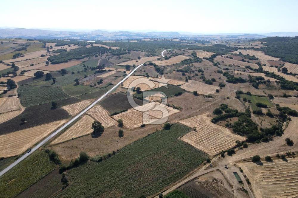CB EAGLE'DAN YENİKÖY'DE 16.599 m² SATILIK TARLA
