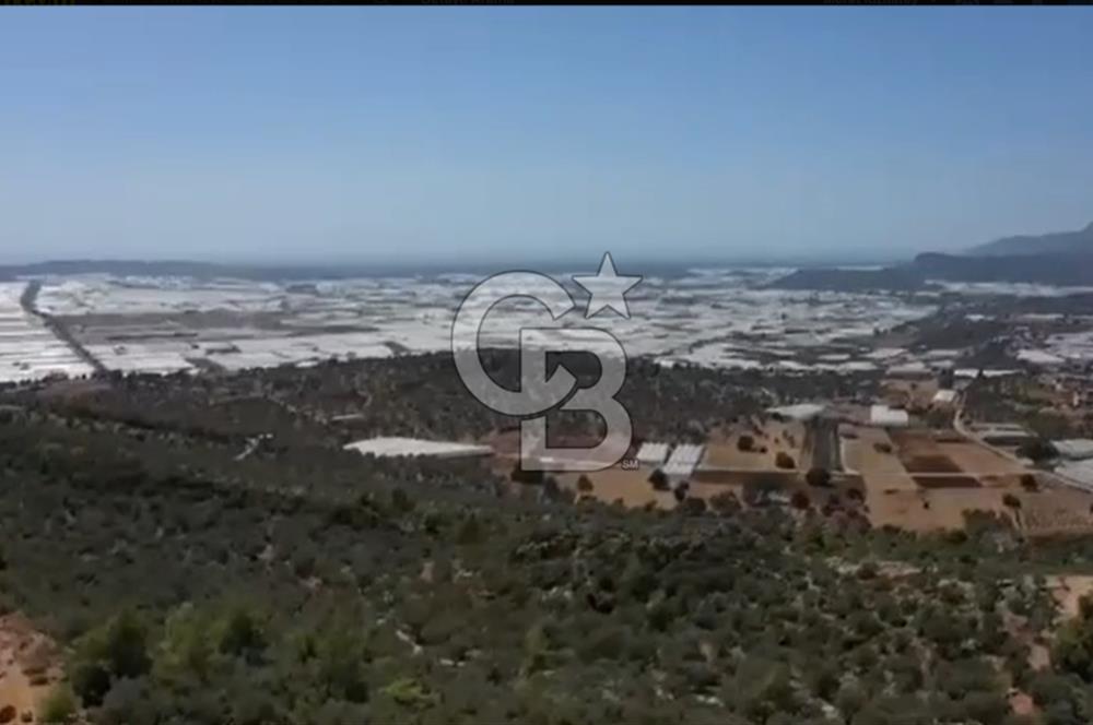 FIRSAT? KAŞ ÇAVDIR'DA DENİZ VE DOĞA MANZARALI TEK TAPU ARSA