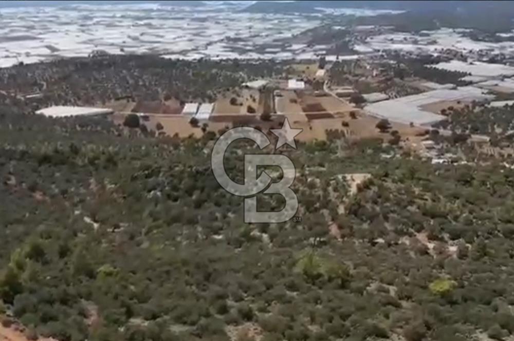 FIRSAT? KAŞ ÇAVDIR'DA DENİZ VE DOĞA MANZARALI TEK TAPU ARSA