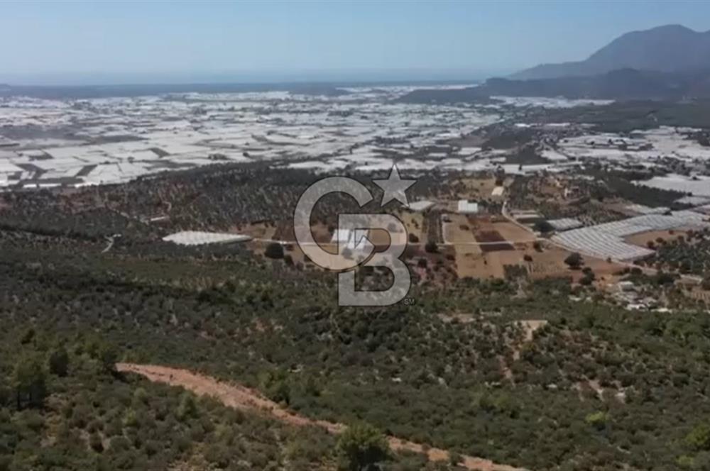 FIRSAT? KAŞ ÇAVDIR'DA DENİZ VE DOĞA MANZARALI TEK TAPU ARSA