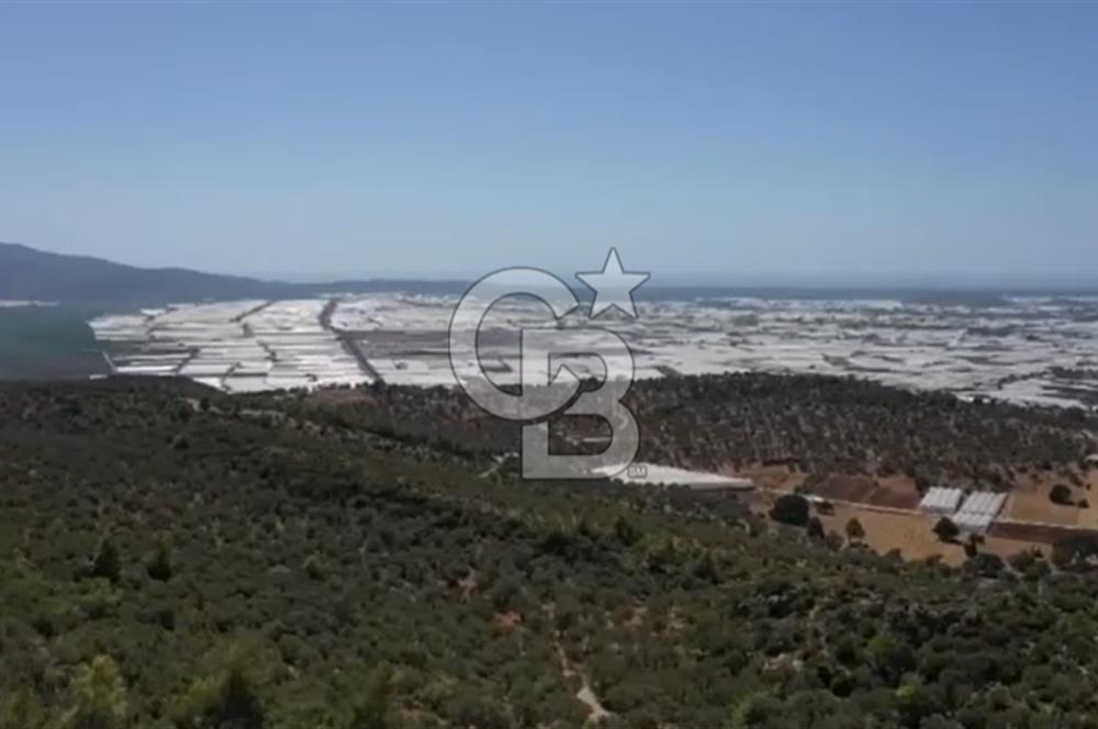 FIRSAT? KAŞ ÇAVDIR'DA DENİZ VE DOĞA MANZARALI TEK TAPU ARSA