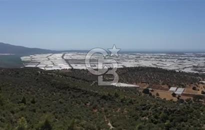 FIRSAT? KAŞ ÇAVDIR'DA DENİZ VE DOĞA MANZARALI TEK TAPU ARSA