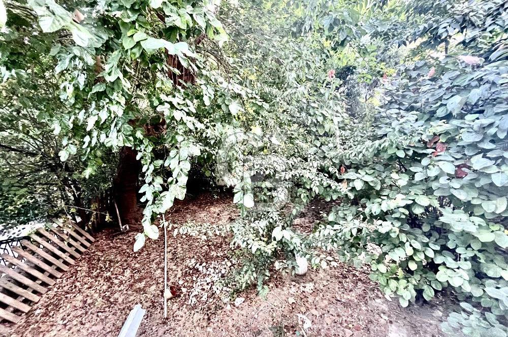 Bebek Kiralık Eşyalı Bahçe Katı Robert ve Boğaziçi Yakını