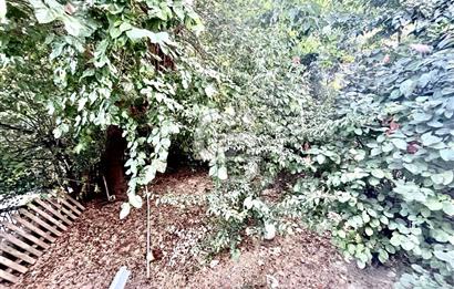 Bebek Kiralık Eşyalı Bahçe Katı Robert ve Boğaziçi Yakını