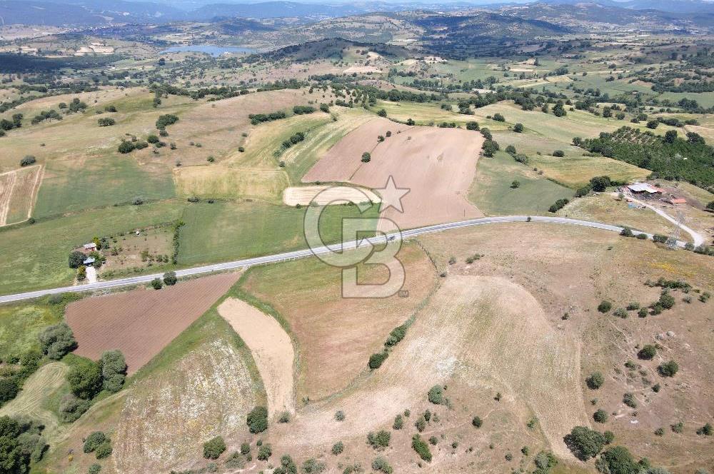 CB EAGLE'DAN NARLI'DA ASFALT YOLA CEPHE 8.581 m² SATILIK TARLA
